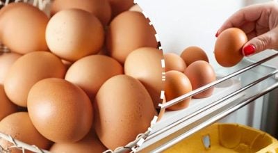 яйця