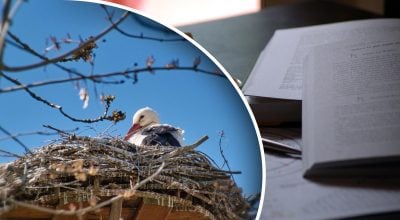 Гороскоп на неделю Гороскоп на неделю