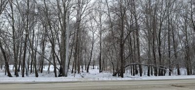 погода погода