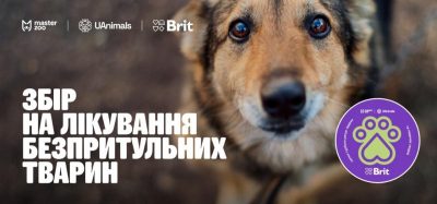 MasterZoo и UAnimals призывают протянуть MasterZoo и UAnimals призывают протянуть