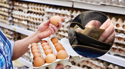 Плюс 10% до кінця осені: українців попередили про подорожчання базового продукту Плюс 10% до кінця осені: українців попередили про подорожчання базового продукту