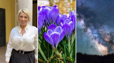 Анжела Перл, гороскоп Анжела Перл, гороскоп