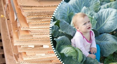 Не повірите своїм очам: для чого хитрі господині розкладають картон на городі