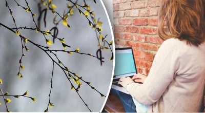 Китайський гороскоп на квітень 2025 року