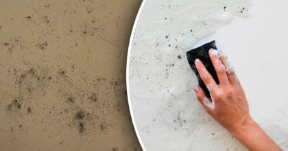 Чорна цвіль більше не проблема: просте рішення працює за лічені хвилини