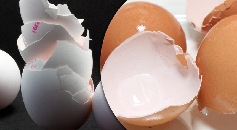 Эксперты призвали хранить яичную скорлупу: в чем причина