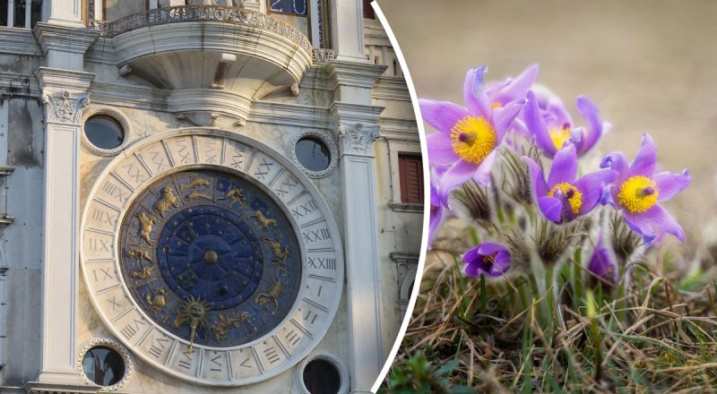 Гороскоп на неделю с 3 по 9 марта: Львам -  сделка, Весам - внезапные перемены