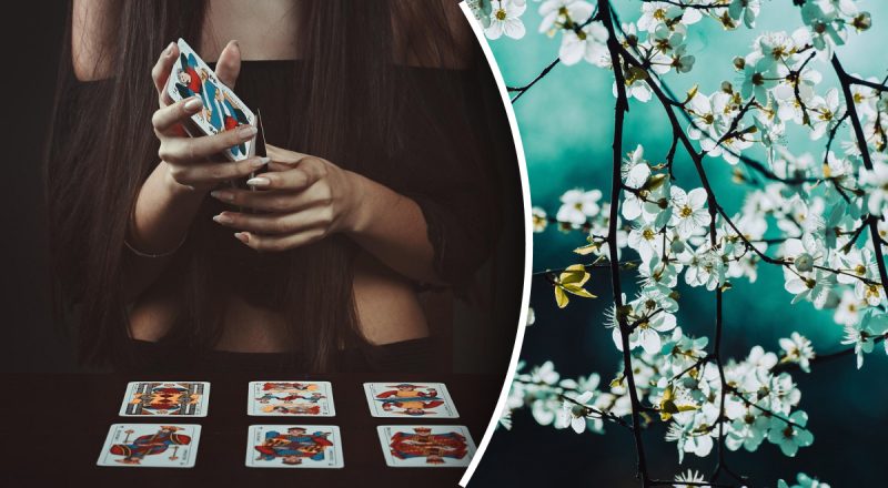 Гороскоп Таро на неделю с 3 по 9 марта: Весам пора действовать, Рыбам - прозрение