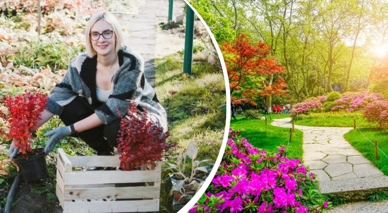 Цветущий сад за несколько минут: садовод рассказал, что нужно сделать в марте