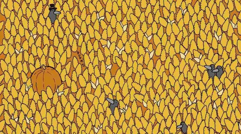 Ребус для тех, у кого великолепное зрение: надо за 5 секунд найти грушу