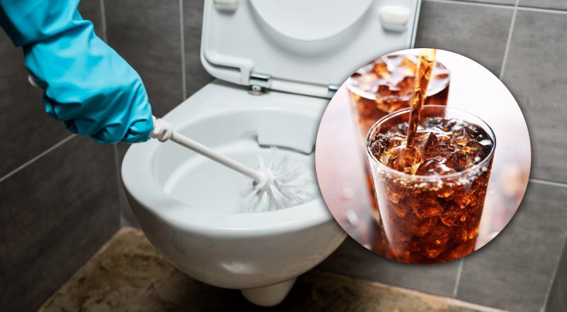 Работает лучше химии: эксперты призвали налить один популярный напиток в унитаз