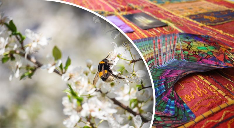 Гороскоп Таро на неделю с 10 по 16 марта: Тельцам - терпение, Ракам - сложности