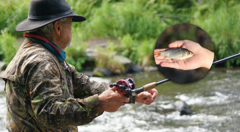 Когда начинается сезон рыбалки в Украине: стоит знать, чтобы не получить штраф