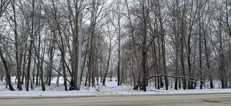 погода 