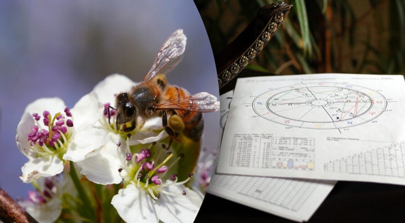 Гороскоп на тиждень з 24 по 30 березня: Овнам - економити, Левам - випробування