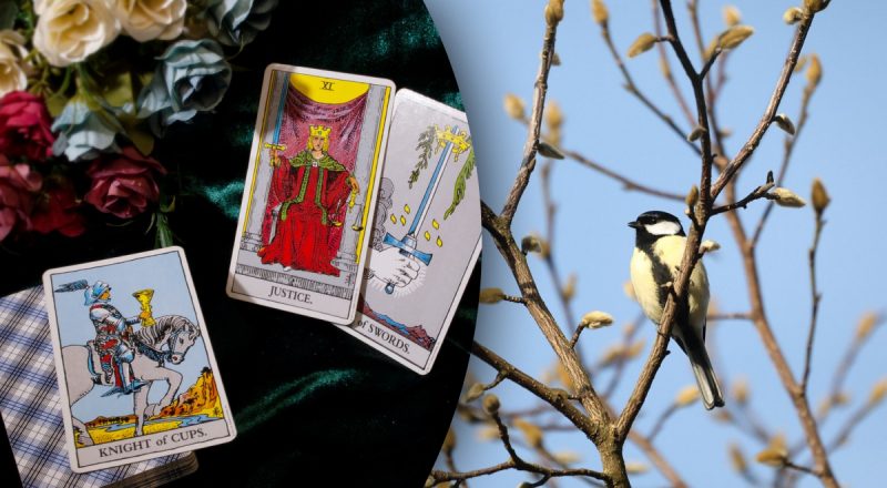 Гороскоп Таро на тиждень з 24 по 30 березня: Тельцям - шанс, Дівам - труднощі