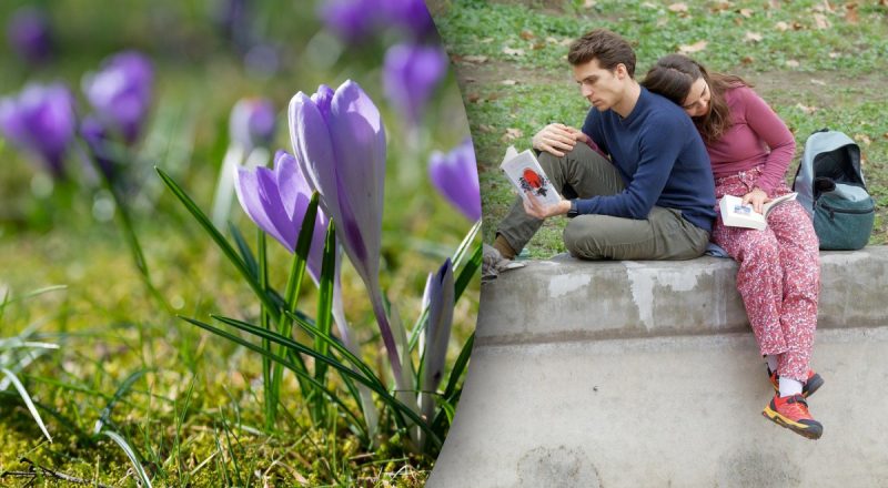 Любовний гороскоп на тиждень з 24 по 30 березня