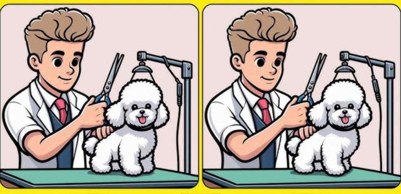 Чим відрізняються 2 хлопці: лише люди із "зором орла" вгадають за 5 секунд