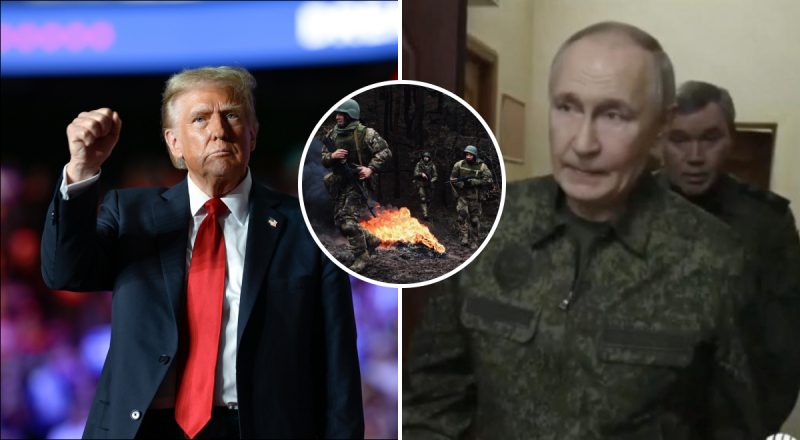 Путин сейчас в позиции силы из-за действий Трампа - The Telegraph