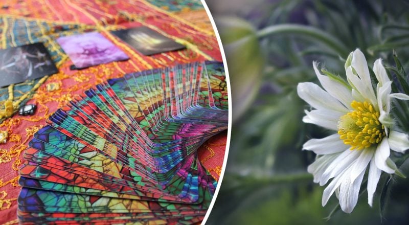 Гороскоп Таро на тиждень з 31 березня по 6 квітня: Ракам - проблеми, Левам - ризик