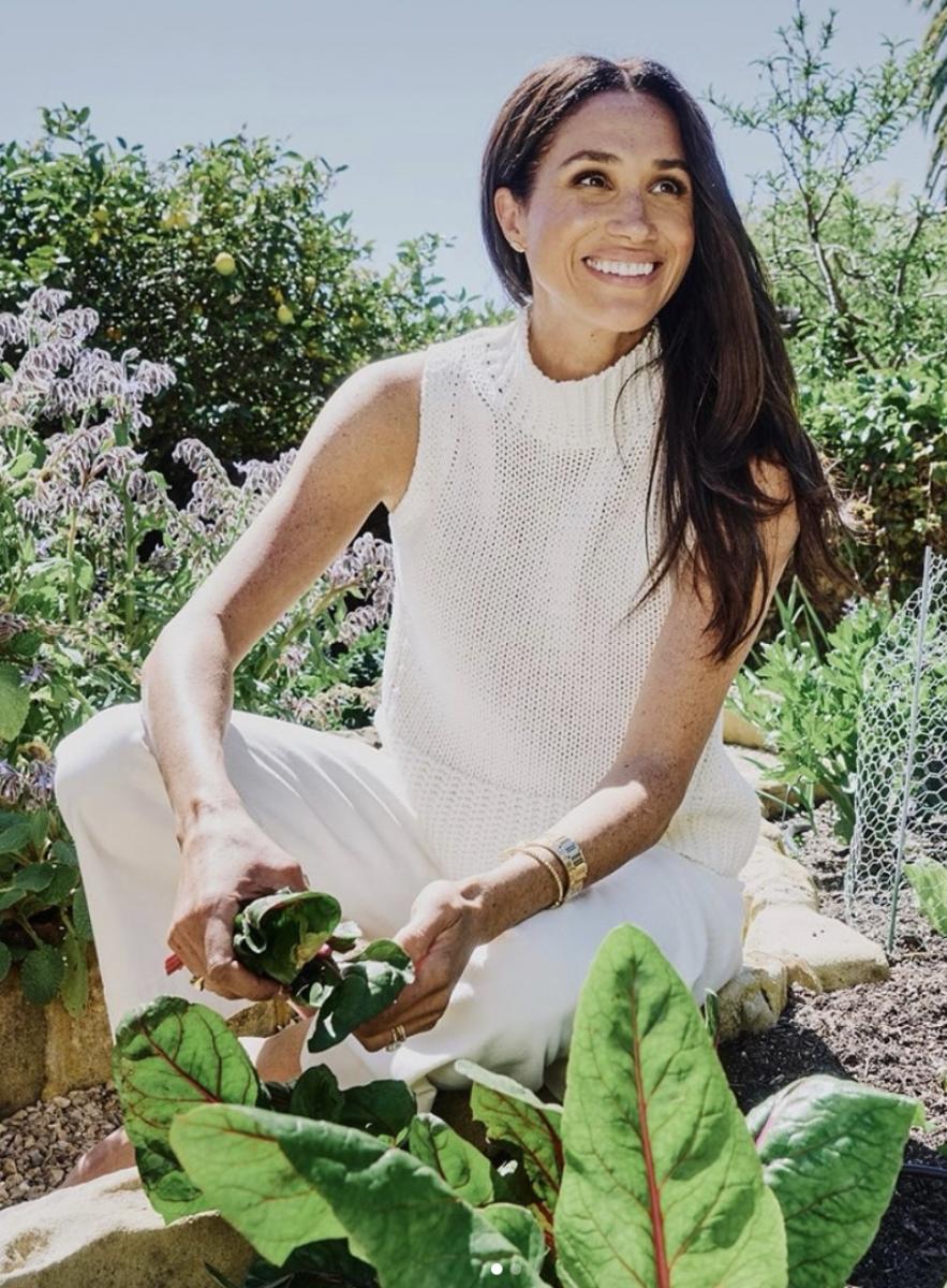 Меган Маркл допустила журналиста 