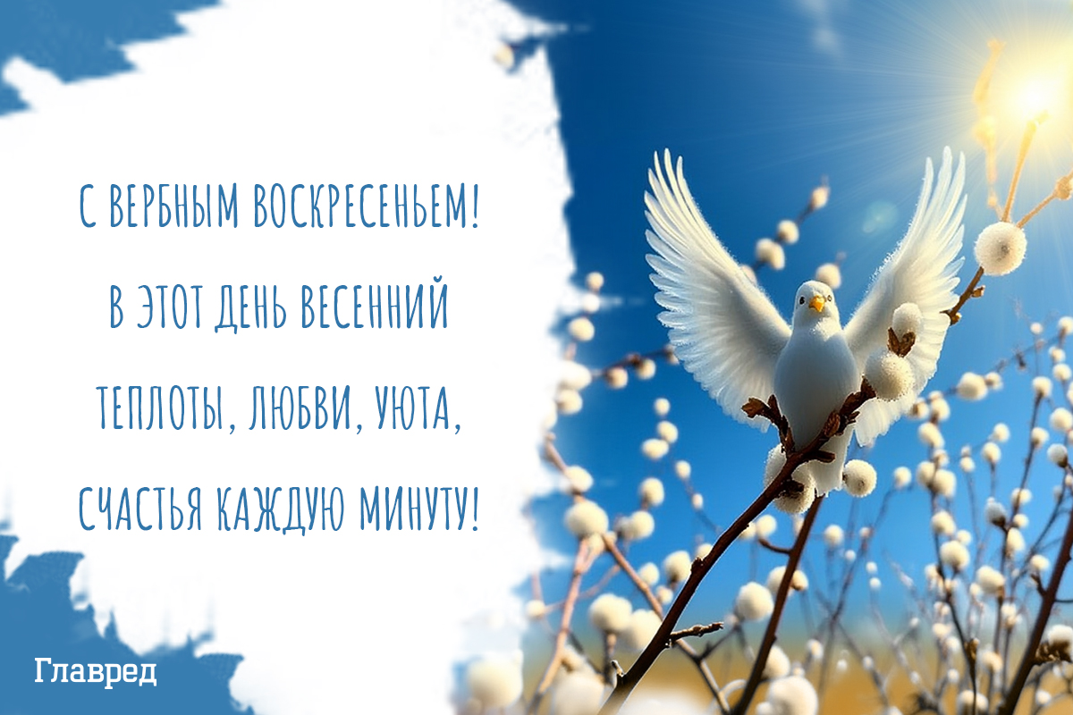 Поздравления с вербным воскресеньем картинки