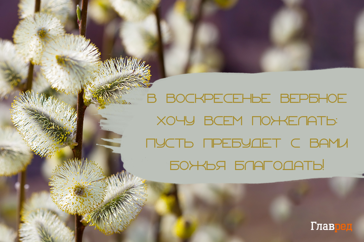 Поздравления с вербным воскресеньем своими словами