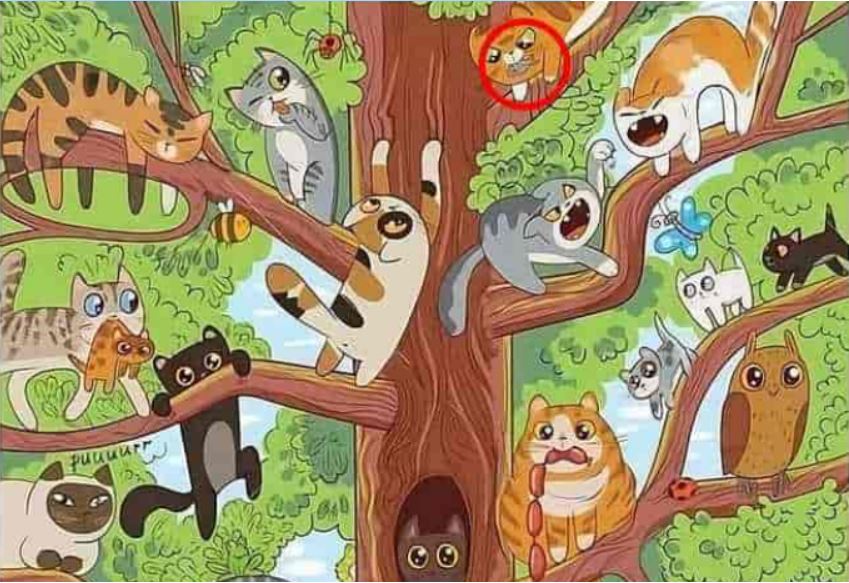 Головоломка на уважність - відповідь