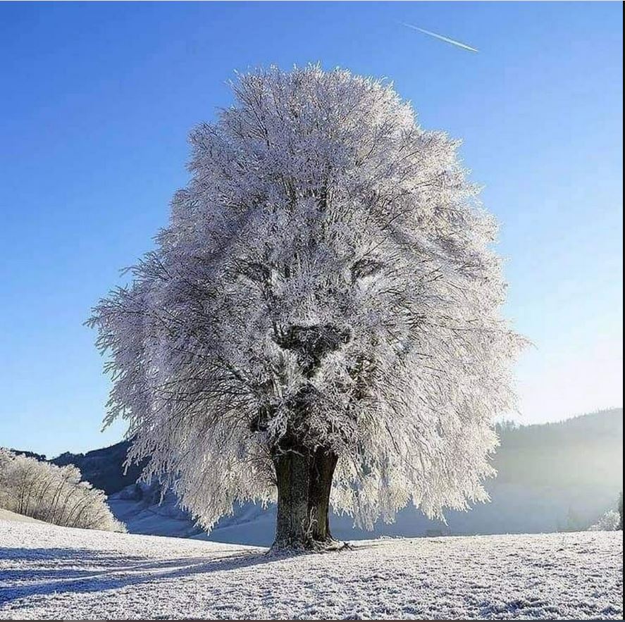 Визуальный тест, который описывает характер