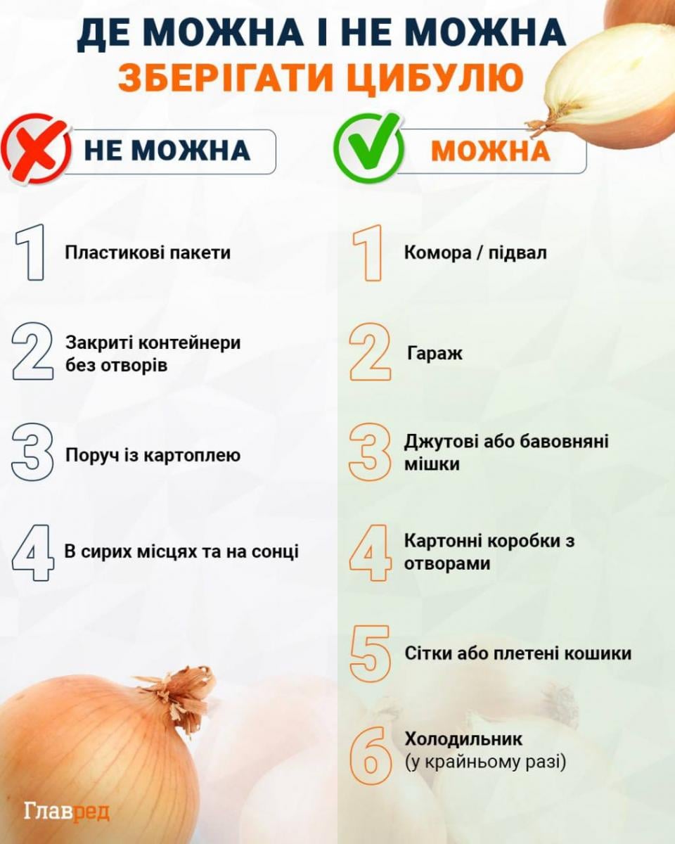 Где можно и нельзя хранить лук