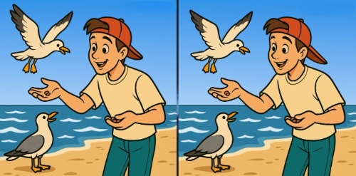 Загадка Загадка