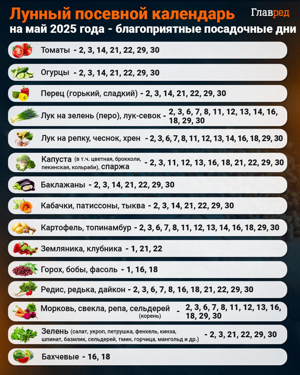 Урожай будет уже летом: какие быстрорастущие фрукты можно посадить в мае Урожай будет уже летом: какие быстрорастущие фрукты можно посадить в мае