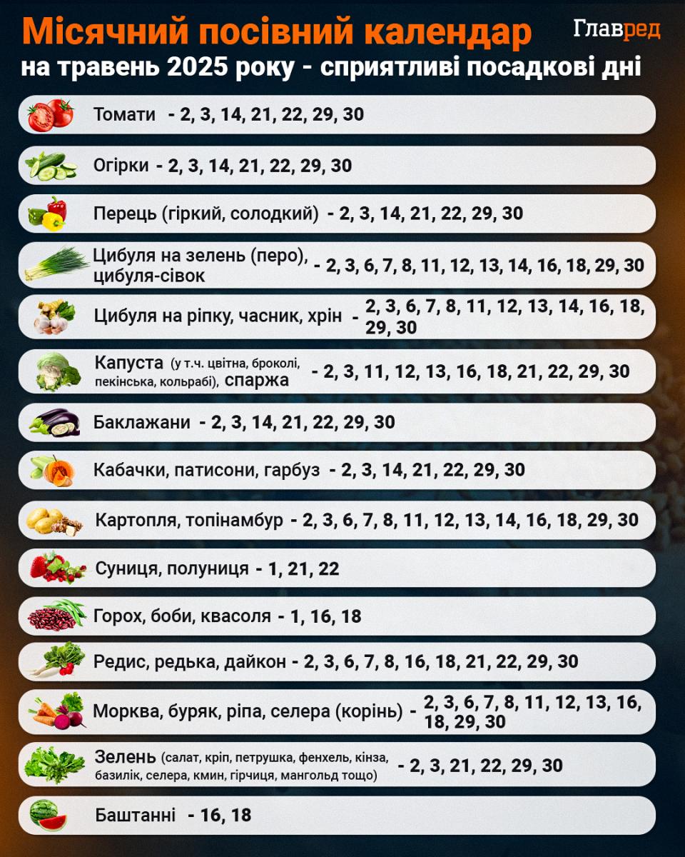 Не пожовтіє і виросте великим: чим потрібно підживити часник у травні