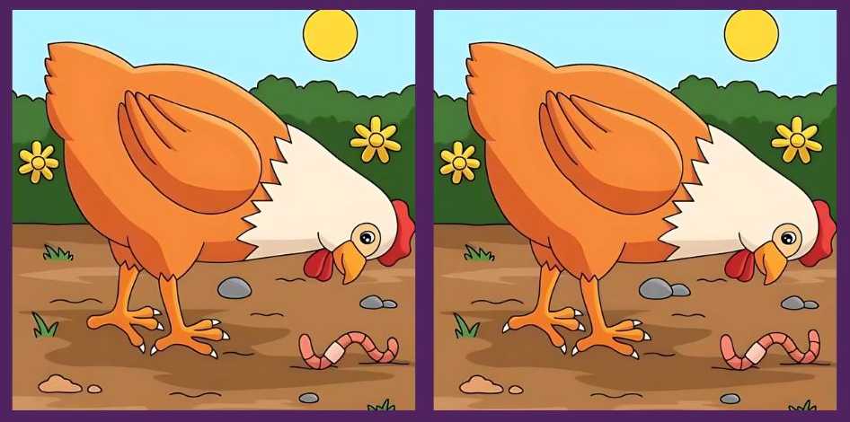 Загадка Загадка