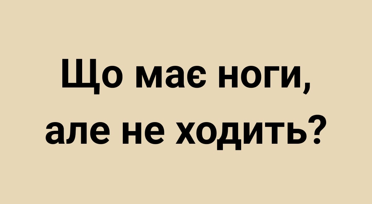 Загадка Загадка