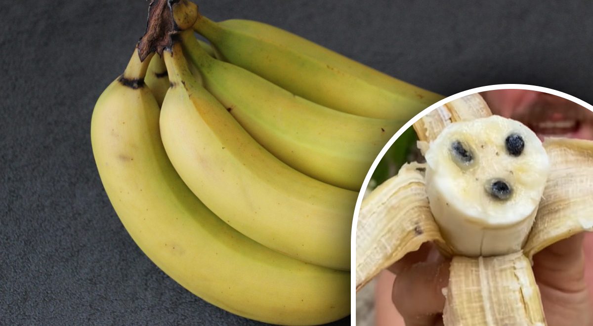 Писка видеосына қатысу