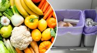 Эксперты призвали не выбрасывать фрукты и овощи в мусорку: какая причина