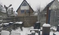 Оптична ілюзія: знайдіть кота, що сховався у дворі, за 5 секунд