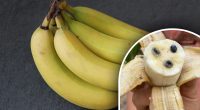Не такий, як в магазинах: люди тільки дізнались, як виглядає справжній банан
