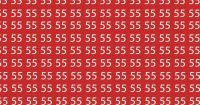 Ребус для тих, у кого чудовий зір: треба знайти цифру 55 за 5 секунд