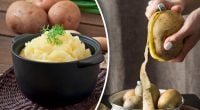 Як українці раніше називали картопляне пюре - несподівані варіанти