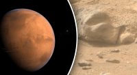 На Марсі знайшли загадковий череп: вчені ламають голову над його походженням