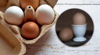 Чи можна заморожувати сирі яйця: відповідь знають одиниці
