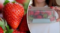 Як зберігати полуницю, щоб вона залишалася свіжою довше: лайфхак від фермерів