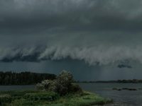 Заморозки починають відступати: які регіони заливатиме дощем