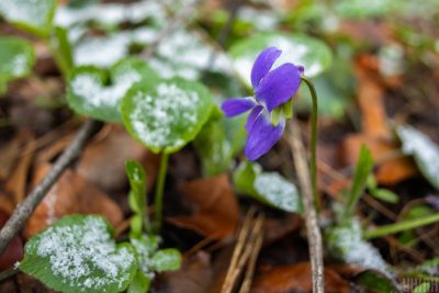 Буде ще холодніше: синоптик попередила про морози і сказала, коли вони відступлять