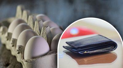 кошелек, яйца кошелек, яйца