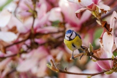 Потепління в Україні прогноз Потепління в Україні прогноз