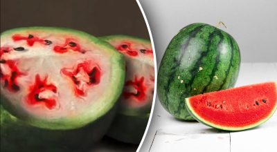 Как раньше выглядел арбуз: большинство людей его даже не узнали бы