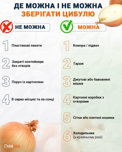 Где можно и нельзя хранить лук Где можно и нельзя хранить лук